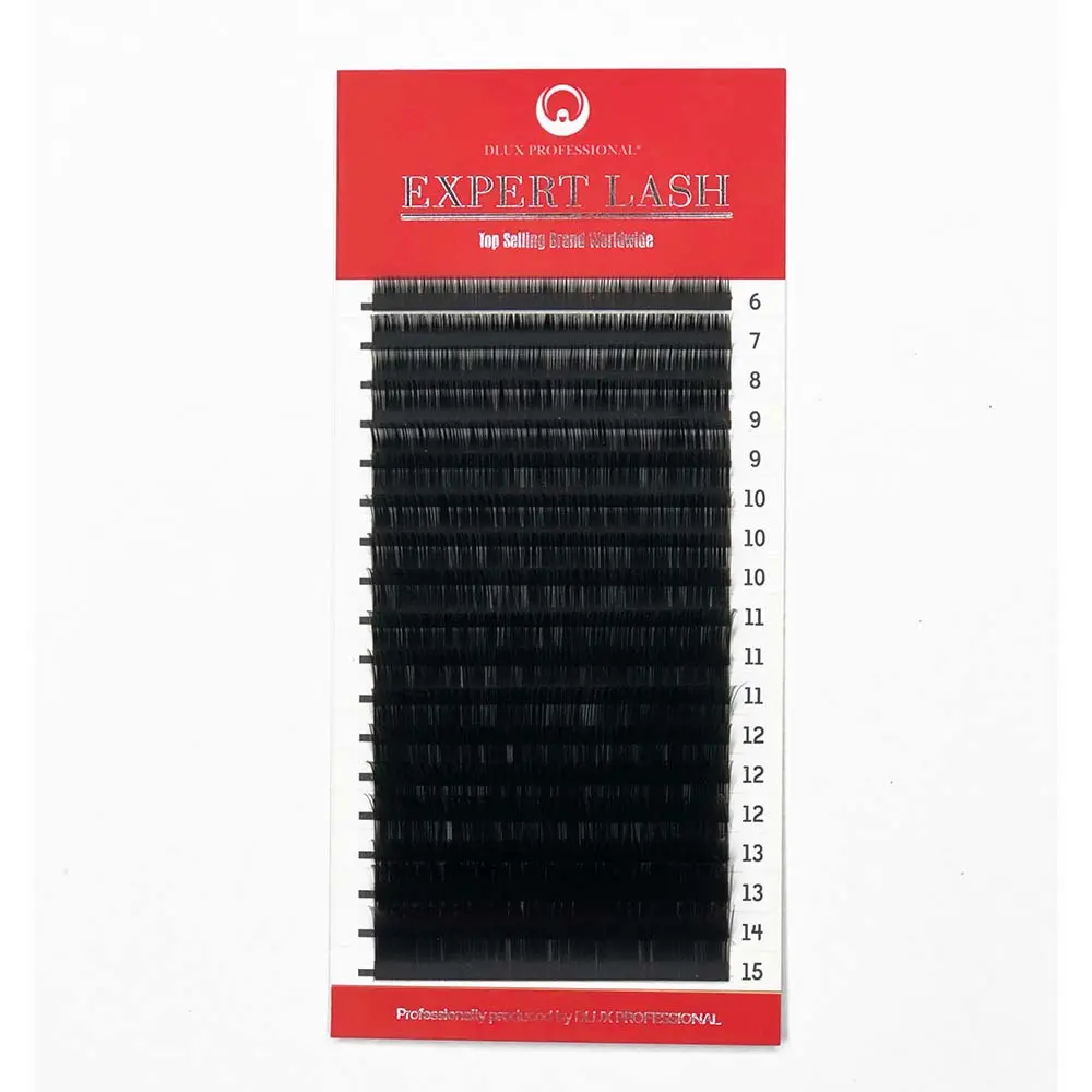 expert lash aperte.webp