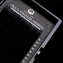 DLUX SILK (DS) 04.webp