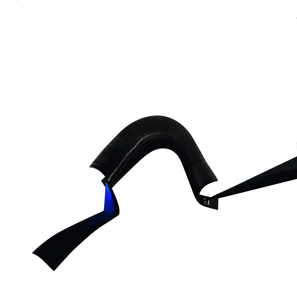 24 linee striscia_01.webp