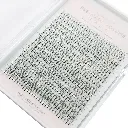 Ventaglio pronto DL CC007 - MIX_01.webp